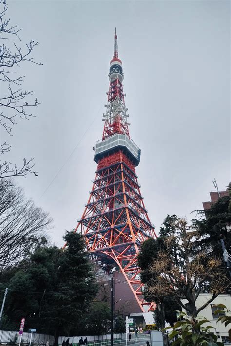 lfbets rj,Tokyo Tower 